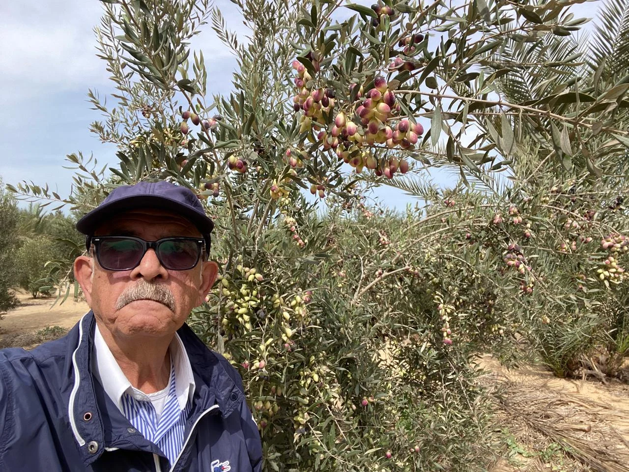 Al Fayrouz Farm — photo 2